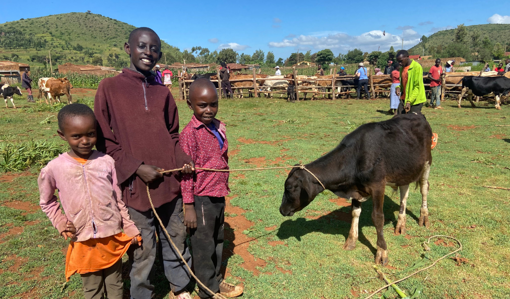 Kenyan kids proudly holding onto their bull calf for the Mbaaria walk-in clinic