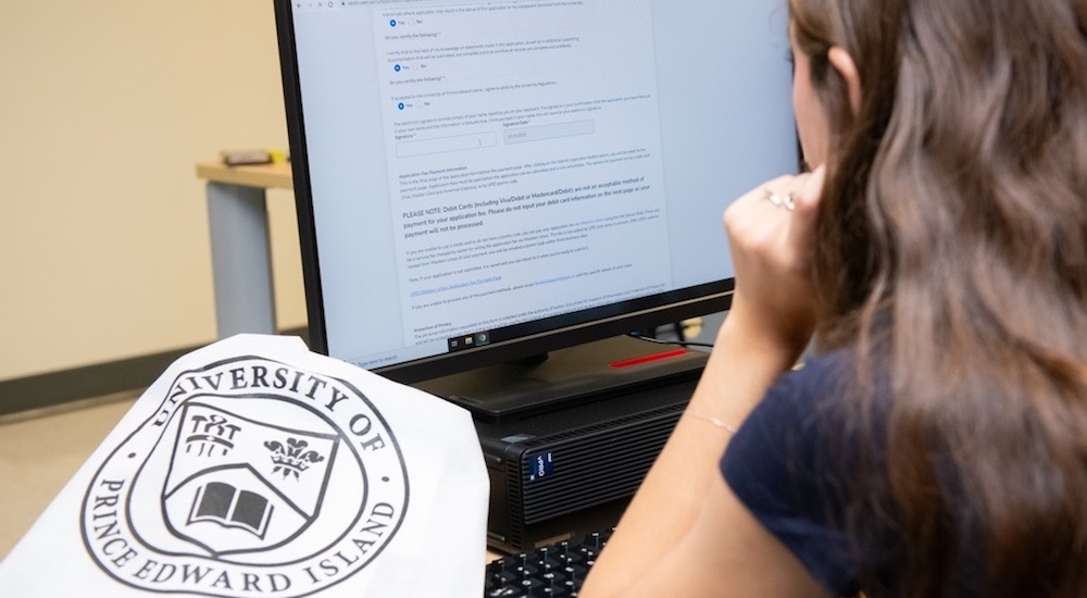 a student at a computer