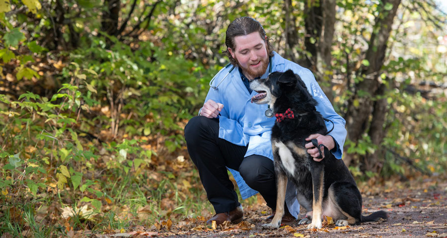 veterinarian kneeling beside a black dog wearing a plaid bowtie