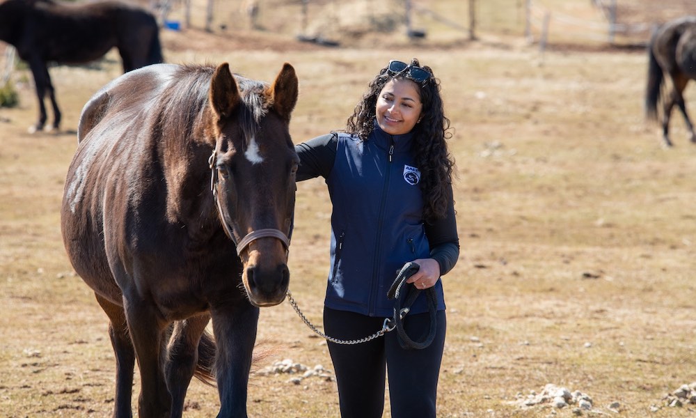 UPEI veterinary medicine student Anam in an outdoor paddock