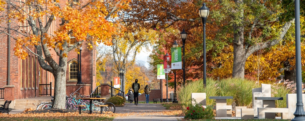 a pathway on UPEI's campus in fall