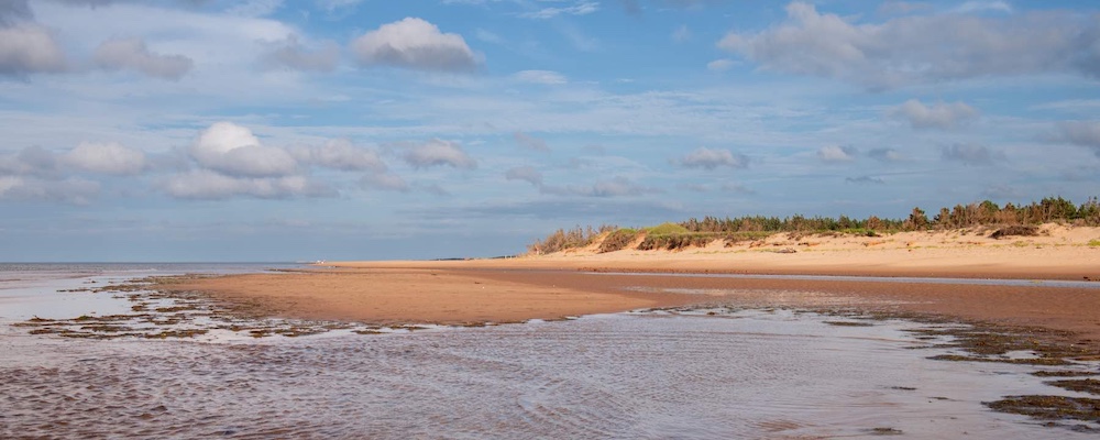 a PEI beach and sand dunes