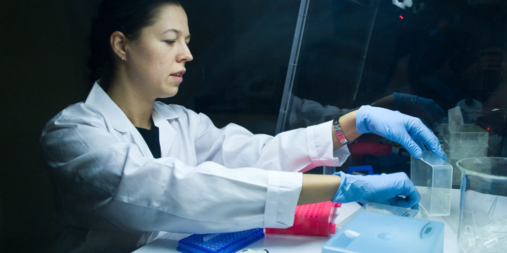 A student works in a lab