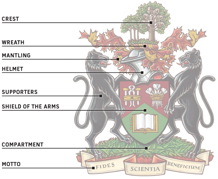 Coat of Arms Components