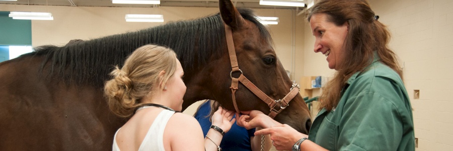 veterinarian and student with horse