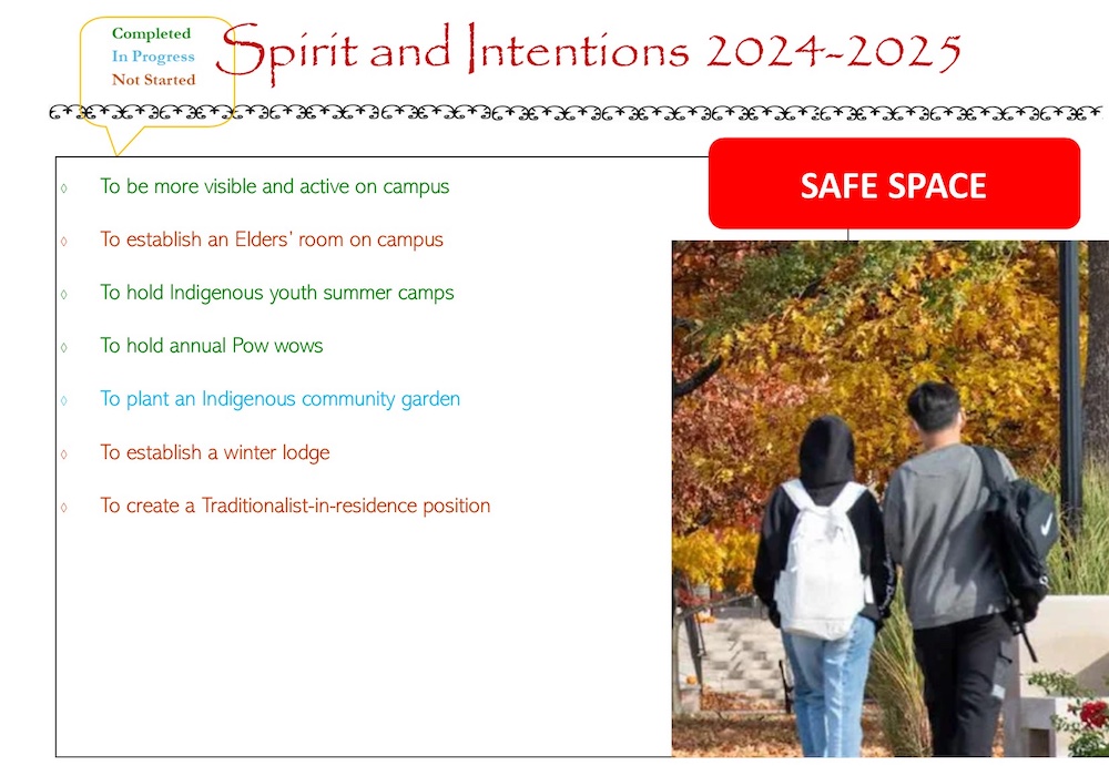 Spirit and Intentions progress for 2024–2025, Safe Space category