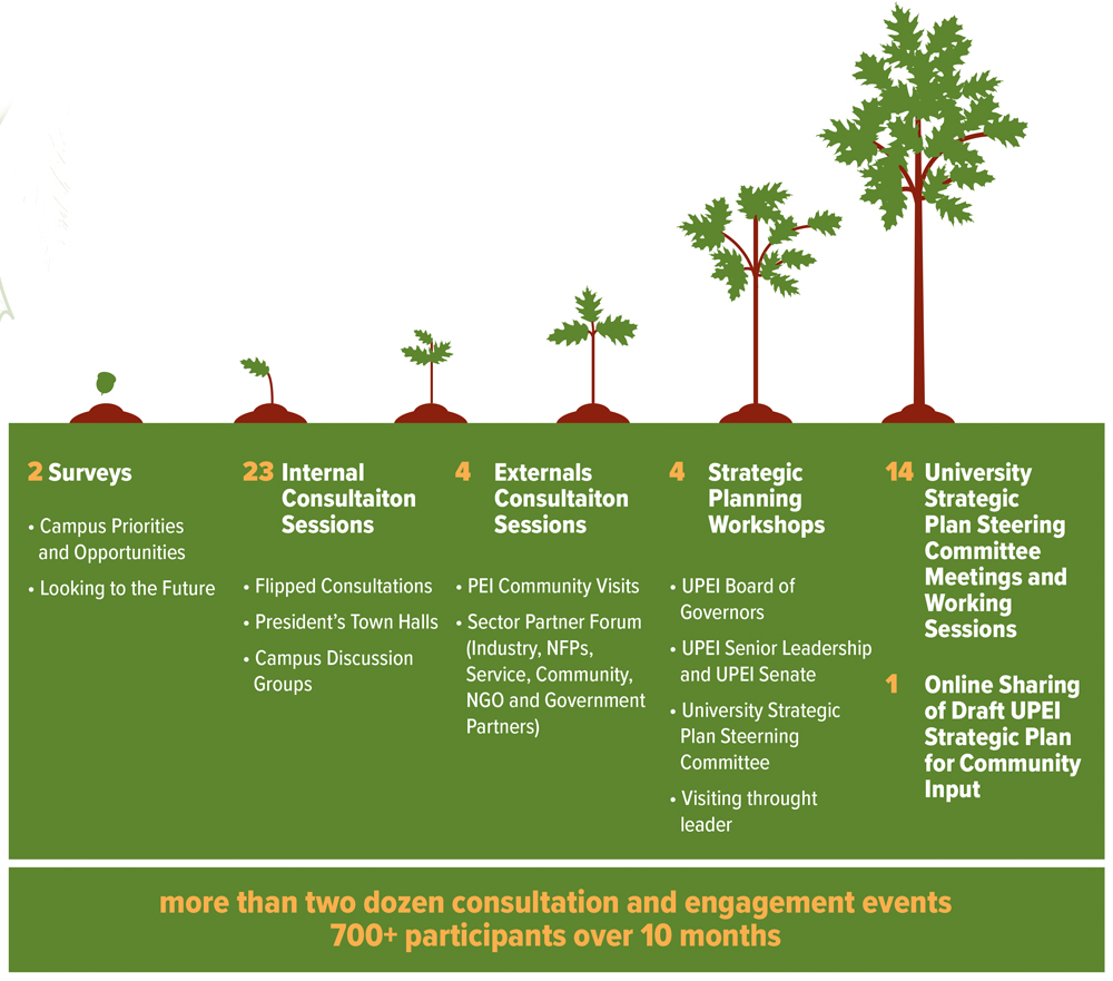 a graphic depicting the consultative process as a tree growing from seed