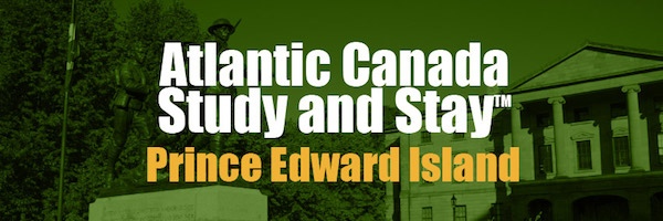 study and stay pei image