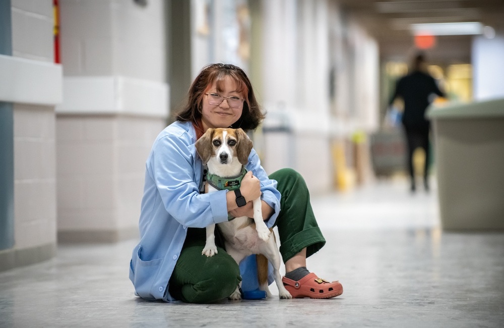 Tsukasa Iwamoto, Doctor of Veterinary Medicine student holding a beagle