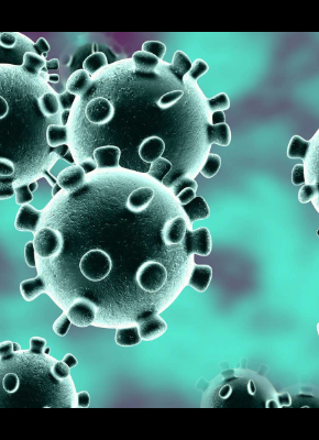 image of coronavirus