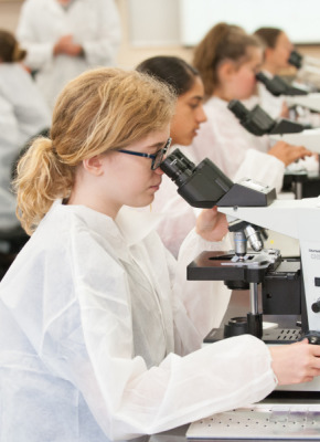 Students in the 2019 AVC Vet Camp learn how to use a microscope. Students in the 2019 AVC Vet Camp learn how to use a microscope.