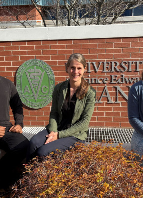 Tunmise Faith Ehigbor, Dr. Caroline Ritter, and  Dr. Katie Koralesky seated outdoors