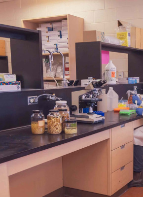 Dr. Will Robbins working at a laboratory bench