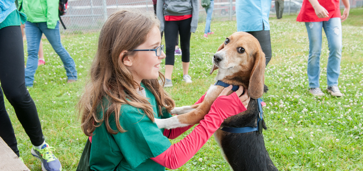 Dr Tim Ogilvie Avc Vet Camp University Of Prince Edward Island