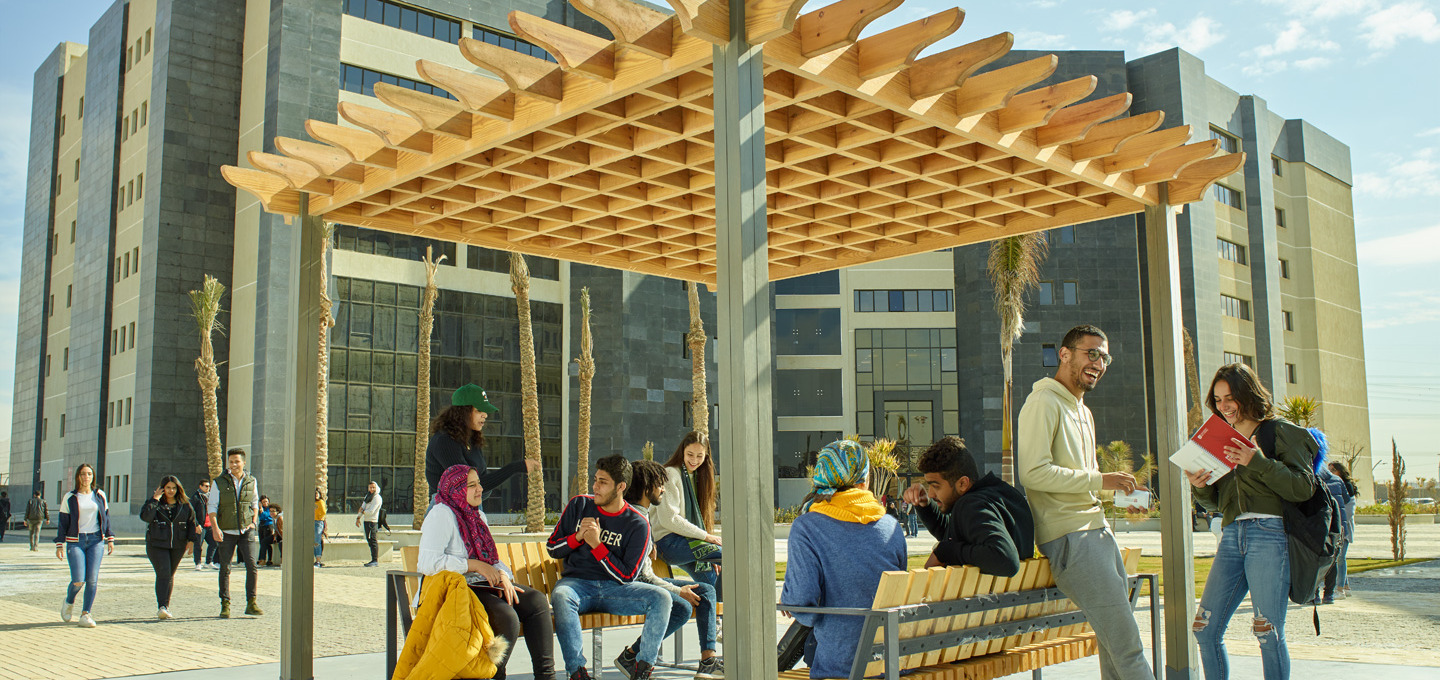 Upei S Cairo Campus University Of Prince Edward Island