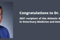 Dr. Gary Conboy is the recipient of the 2021 Atlantic Award of Excellence in Veterinary Medicine and Animal Care
