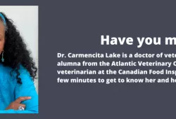 Dr. Carmencita Lake is a doctor of veterinary medicine alumna from the Atlantic Veterinary College. 