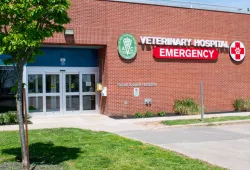 Photo of the exterior of the AVC Veterinary Teaching Hospital 