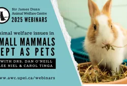 Sir James Dunn Animal Welfare Centre to host webinar series 