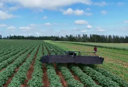The AgriScout robot, developed at UPEI, uses artificial intelligence technology to detect viruses in PEI potato fields.