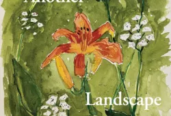 Cover of "Another Landscape"
