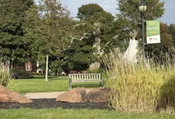 Photo of bench and lamp post banner in the campus quadrangle 