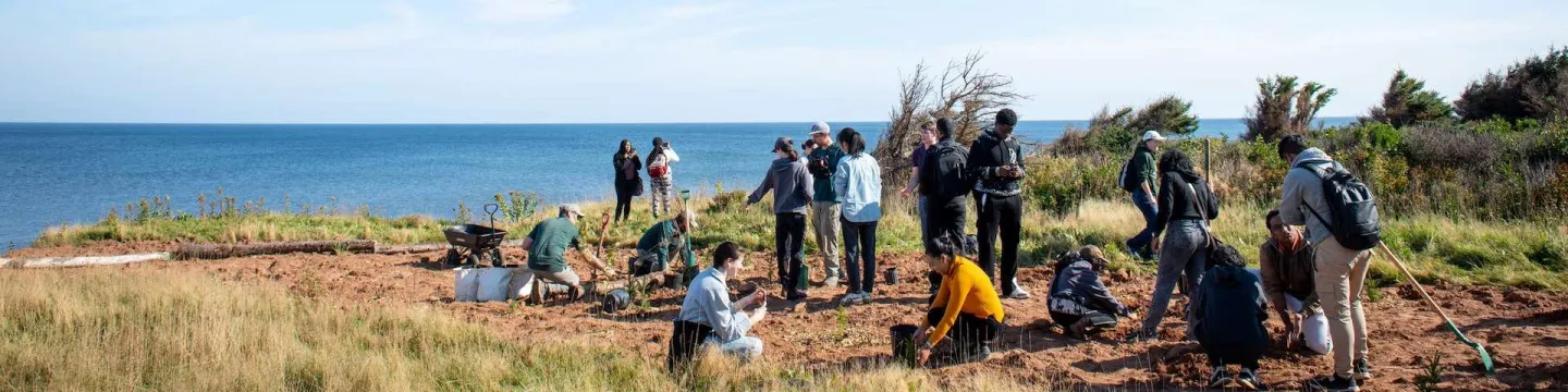 a group of students planting on an oceanside