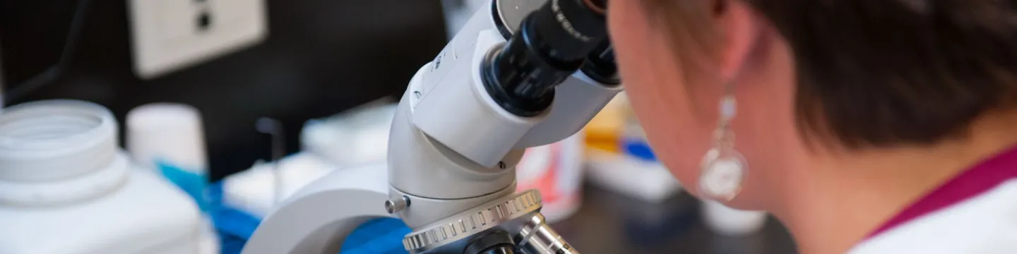 A researcher looks through a microscope