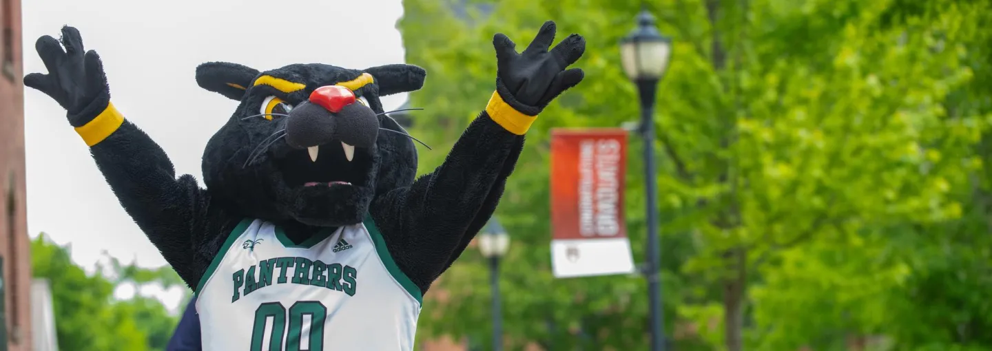 Pride the Panther on the steps of SDU Main Building