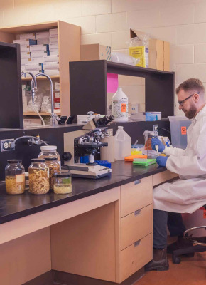 Dr. Will Robbins working at a laboratory bench