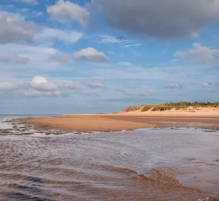 a beach with sand dunes
