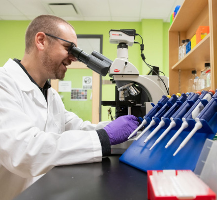 a researcher in a laboratory