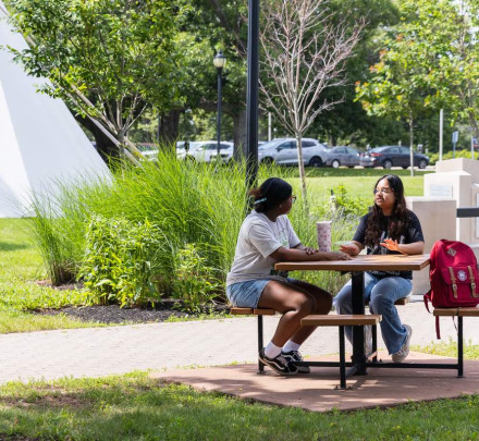 students sitting in the quad talking