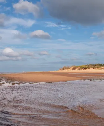 a beach with sand dunes
