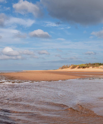 a beach with sand dunes