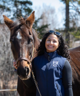 a veterinarian and a horse on a sunny day