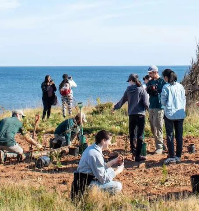 a group of students planting on an oceanside