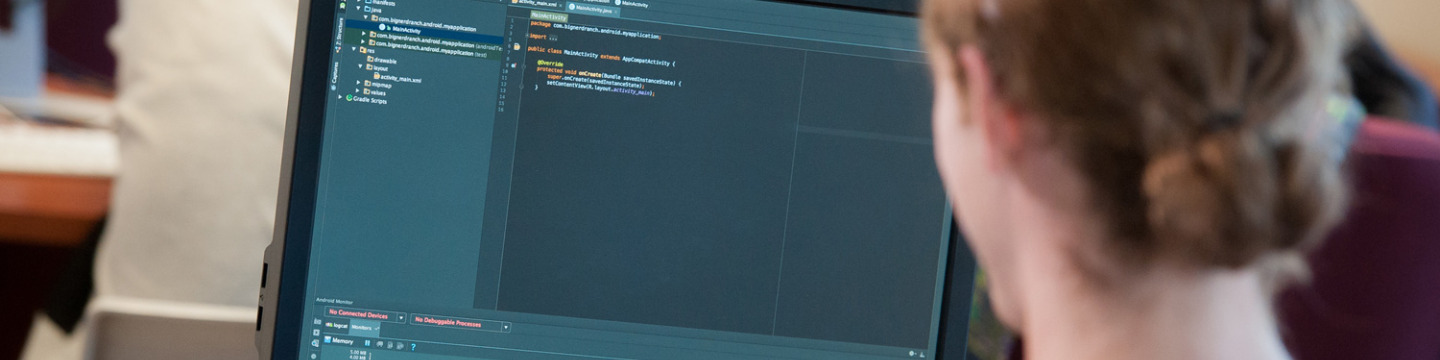 A person uses a computer