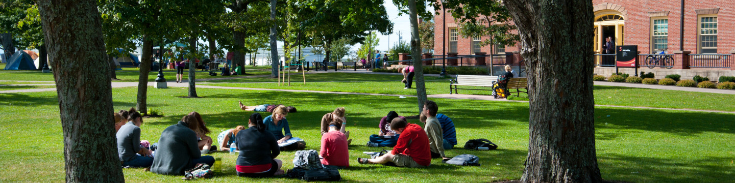 Students reading outside