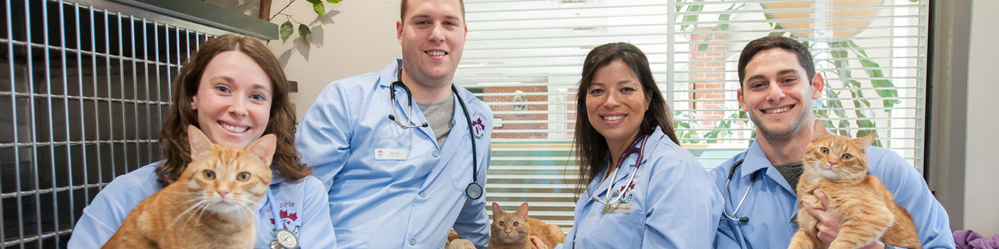 Post-graduate Certificate (Veterinary Medical Internship) or Combined Master  of Veterinary Science / Master of Science / Doctor of Philosophy and  Clinical Veterinary Residency Programs | University of Prince Edward Island
