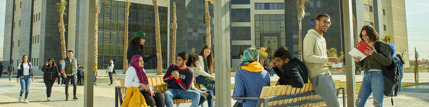 Students study at UPEI's Cairo Campus