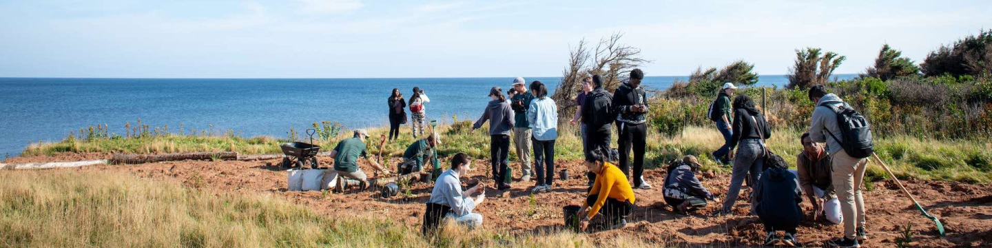 a group planting on a cliff with ocean behind