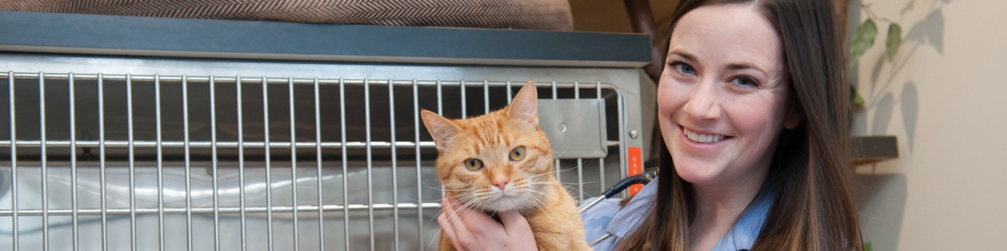 smiling DVM student holding an orange cat