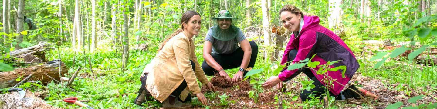 three students planting trees in the forest