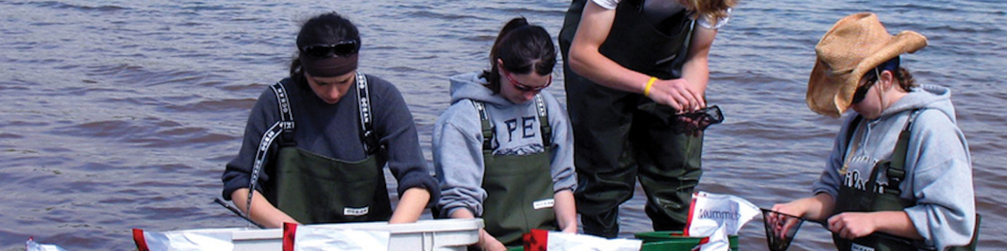 four students collecting aquatic samples