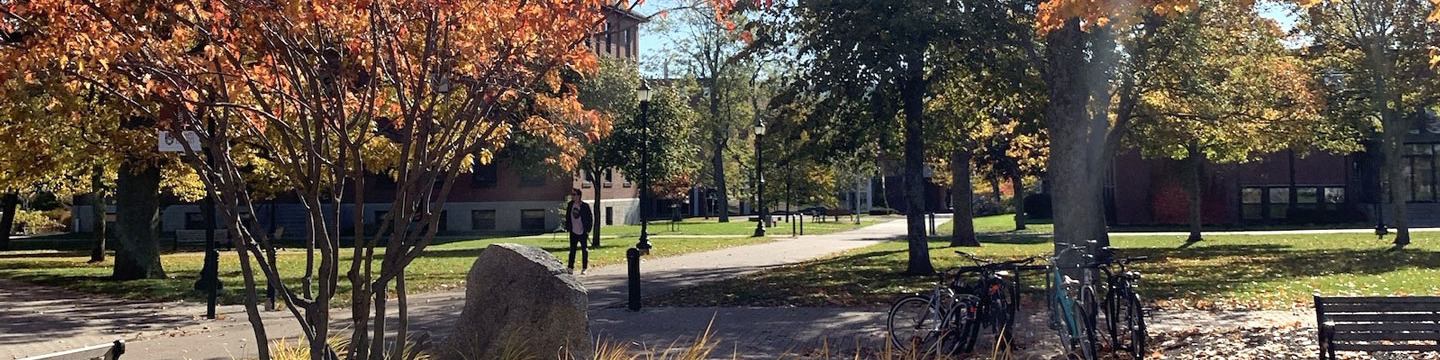students in the upei quadrangle