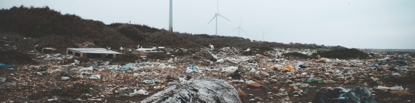 a garbage-covered shoreline with wind turbines in the background