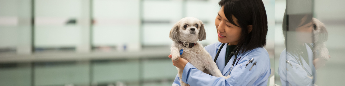 veterinarian holding a small white dog