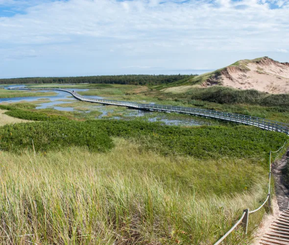 walking trail in Greenwich PEI