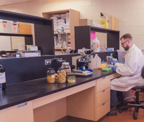 Dr. Will Robbins working at a laboratory bench